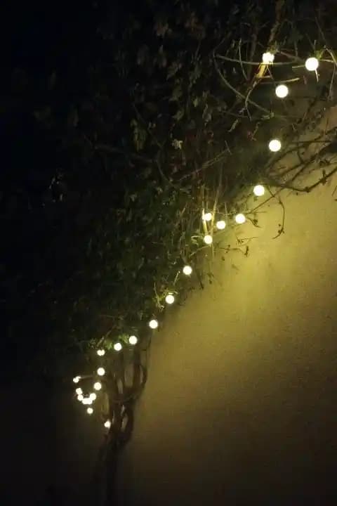 Guirlandes lumineuses pour jardin